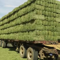 Fodder transport