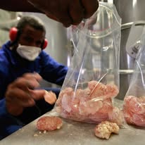 Food processing and laboratory work