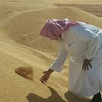Agricultural production