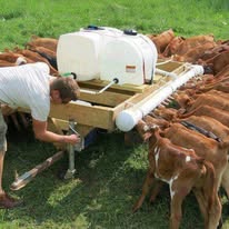 Livestock feeding operation